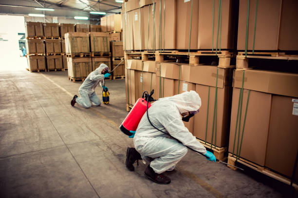 Best Insect Control  in Crest Hl, IL