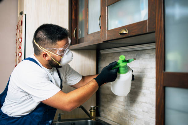 Insect Control in Crest Hill, IL