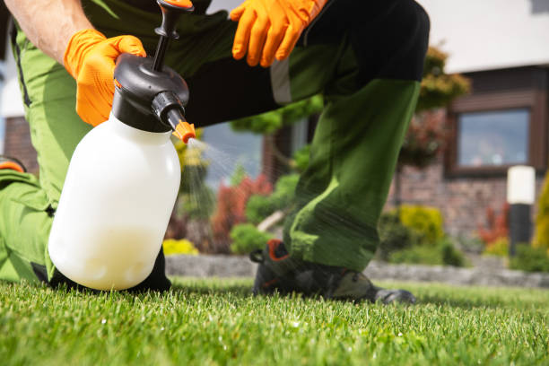 Best Exterminator Services  in Crest Hl, IL