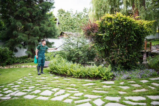 Best Mosquito Control Services  in Crest Hl, IL