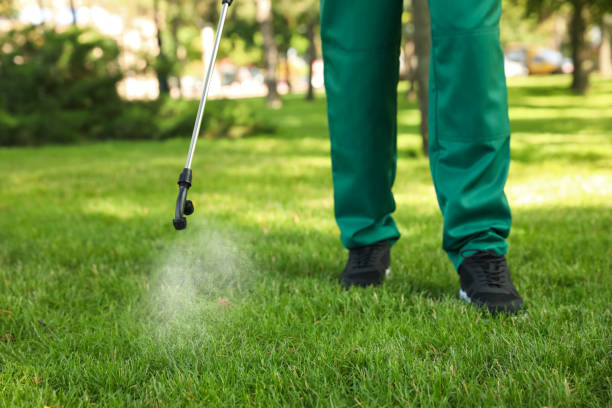 Best Rat Extermination Near Me  in Crest Hl, IL