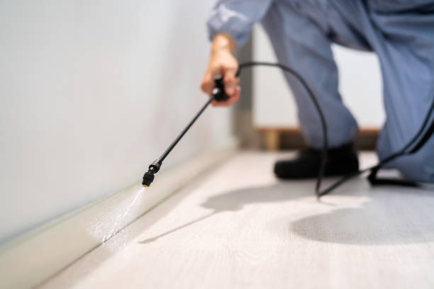 Best Affordable Pest Control Services  in Crest Hl, IL