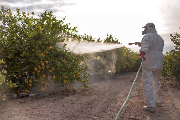 Best Pest Control Cost  in Crest Hl, IL