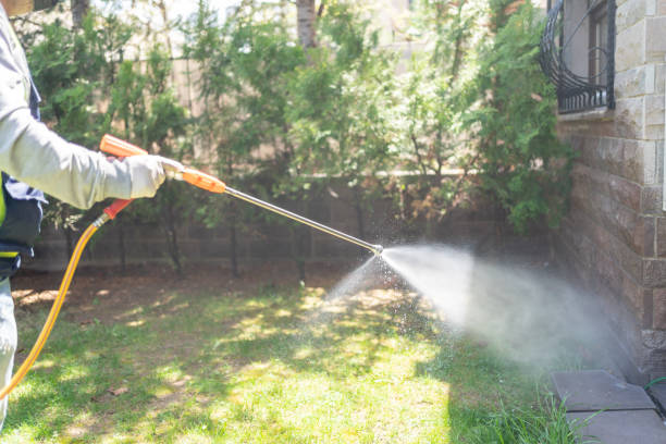 Best Mosquito Control Services  in Crest Hl, IL