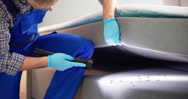 Best Pest Prevention Services  in Crest Hl, IL