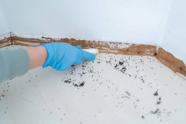 Crest Hill, IL Pest Control Company